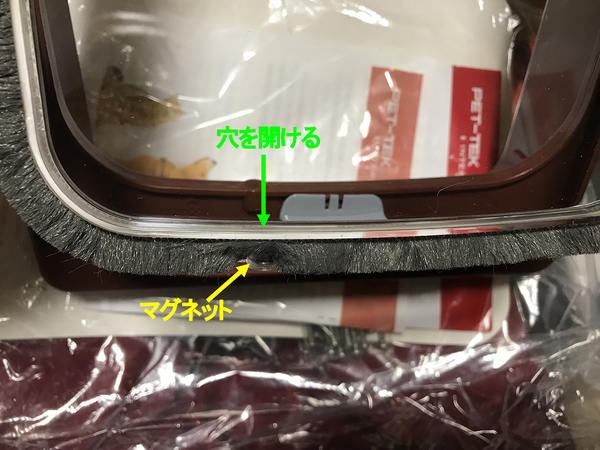 イメージ１.jpg